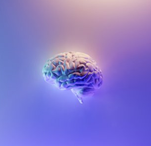 adhd counselling
