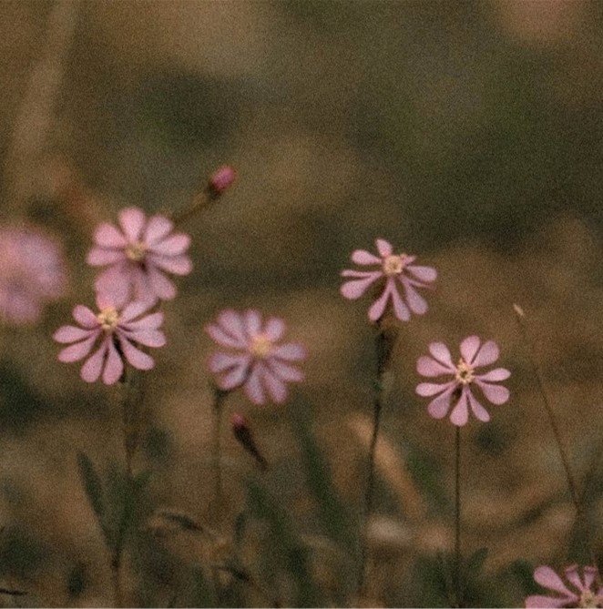 grief and loss counselling